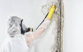 Best Biohazard Mold Removal  in Haverhill, MA